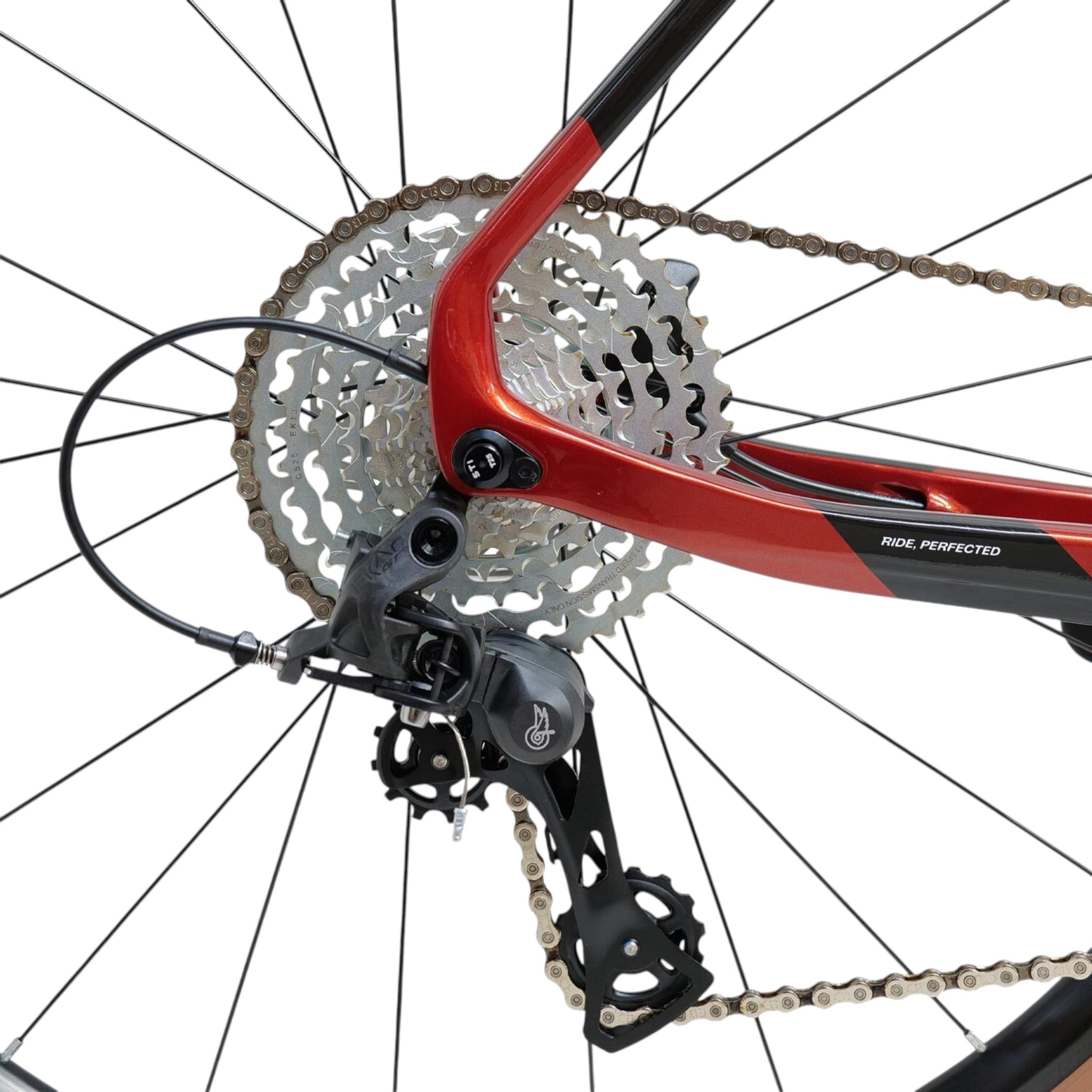 Bicicleta Gravel Basso Palta II | Red Candy | Campagnolo Ekar, Levante-thumbmail-3