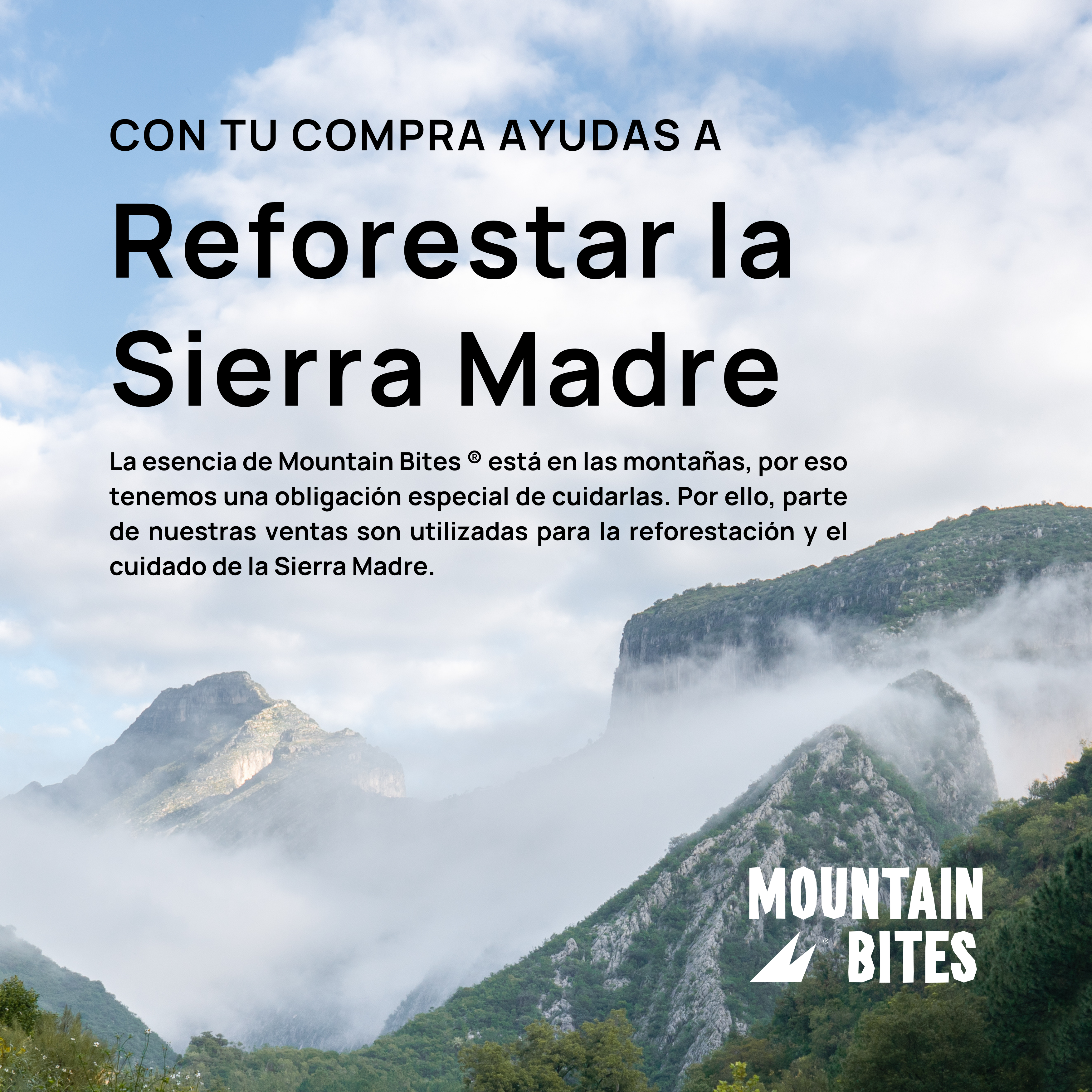 Barritas Energéticas Mountain Bites sabor Peanut Butter Bomb (Caja de 10 pz)-thumbmail-8