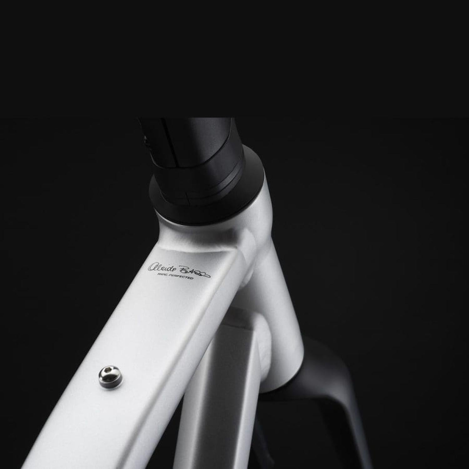 Bicicleta Basso Tera Gravel con Shimano GRX 2x11 y Microtech MX 25